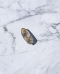Amphibole Quartz points