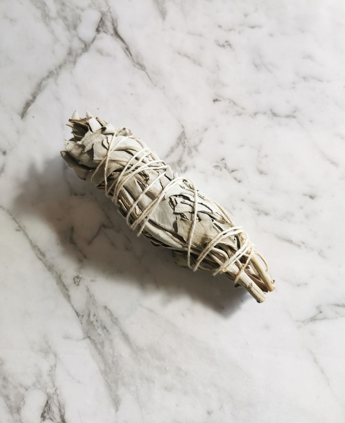 Organic Sage Smudge Stick - Crystal and Light Co