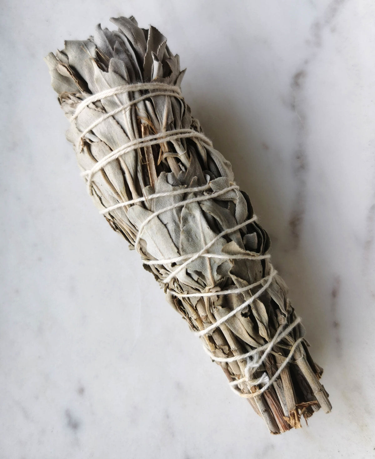 Organic Sage Smudge Stick - Crystal and Light Co